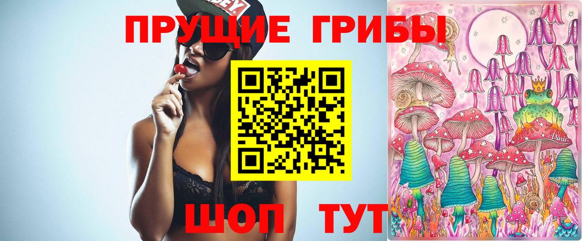Псилоцибиновые грибы ЛСД  Псилоцибиновые грибы MAGIC MUSHROOMS  Вход с VPN  Анжеро-Судженск 